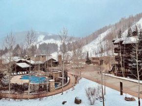 Cozy 1 Bedroom Slopeside Mountain Residence in Vail Village Just Steps from Gondola 1